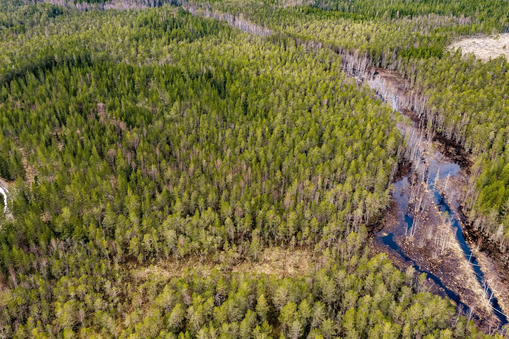 Gård/Skog, SÖDERHAMN NORRBO 2:16, Söderhamn