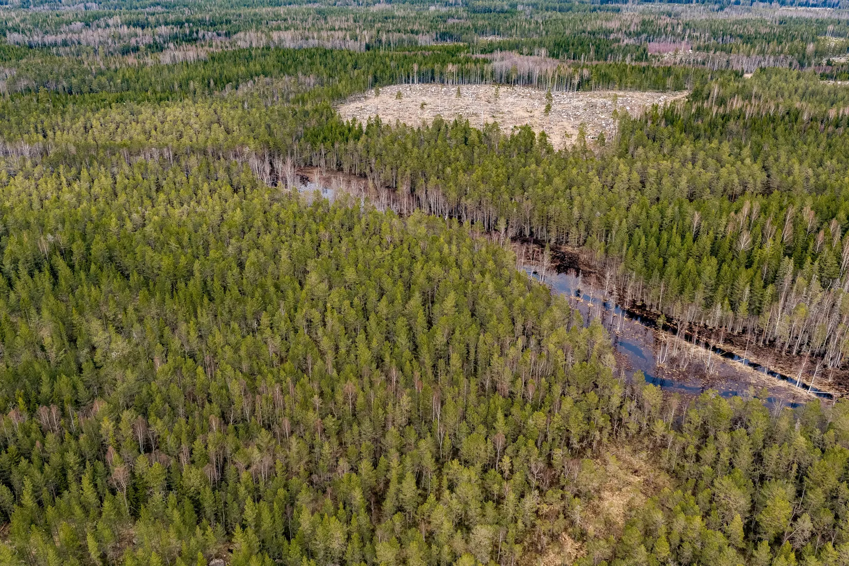 Gård/Skog, SÖDERHAMN NORRBO 2:16, Söderhamn