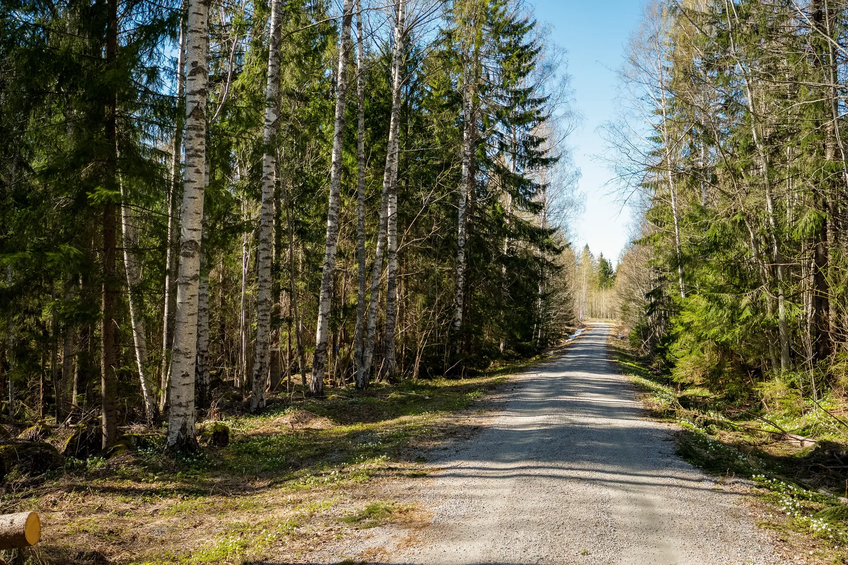 Gård/Skog, SÖDERHAMN NORRBO 2:16, Söderhamn