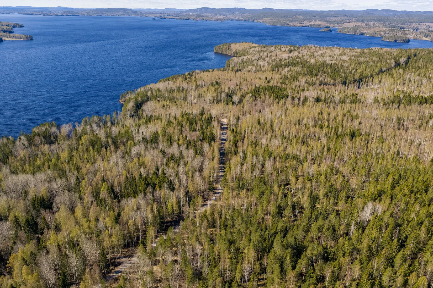 Gård/Skog, SÖDERHAMN NORRBO 2:16, Söderhamn