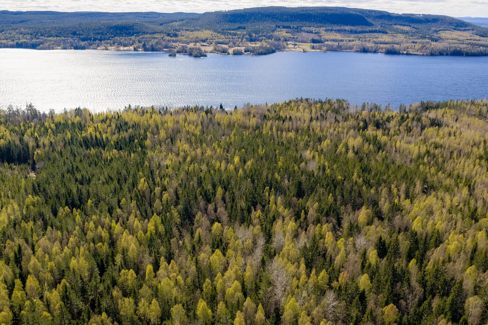Gård/Skog, SÖDERHAMN NORRBO 2:16, Söderhamn
