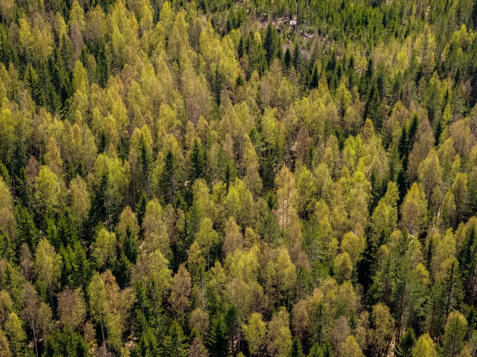 Gård/Skog, SÖDERHAMN NORRBO 2:16, Söderhamn