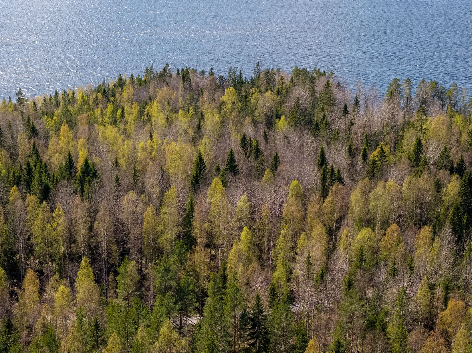 Gård/Skog, SÖDERHAMN NORRBO 2:16, Söderhamn