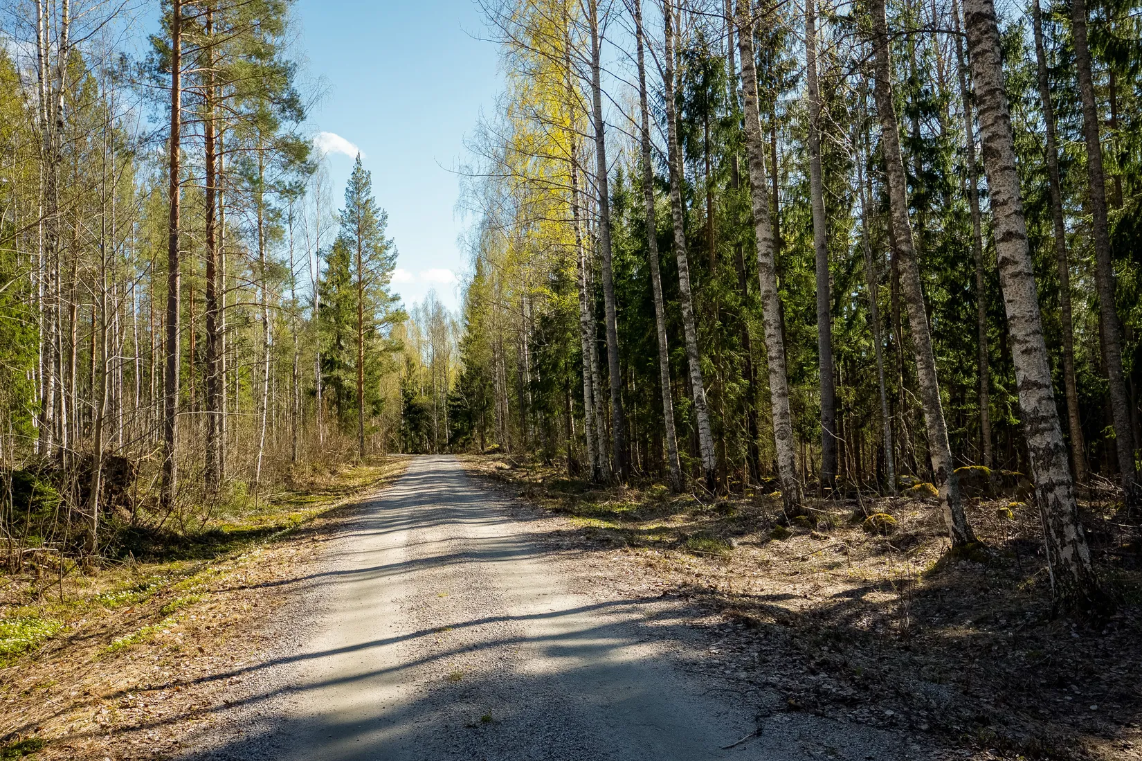 Gård/Skog, SÖDERHAMN NORRBO 2:16, Söderhamn