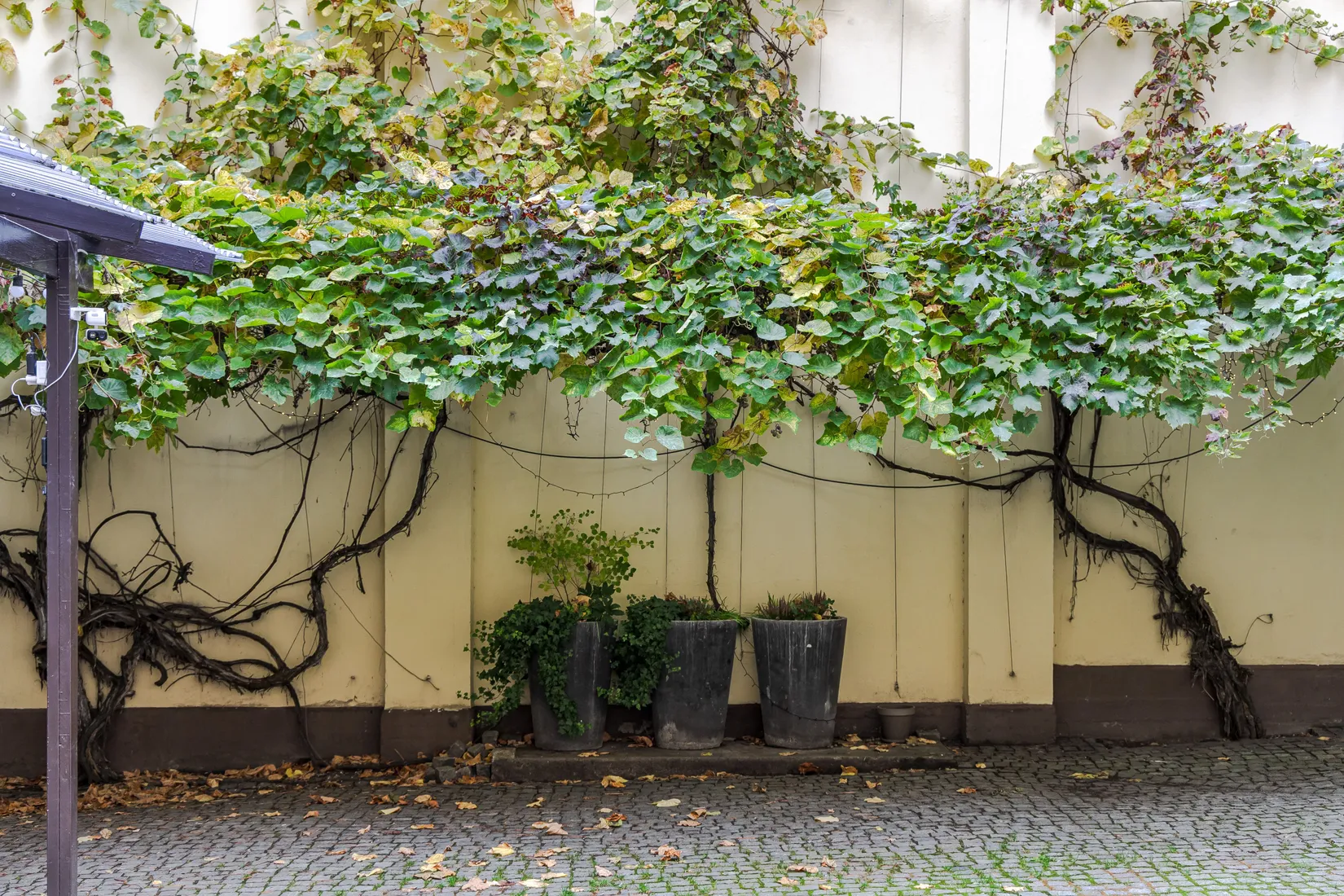 Bostadsrätt, Södra Långgatan 20A, Kvarnholmen, Kalmar