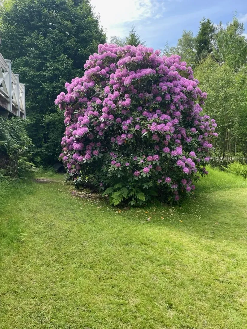 Villa, Ölanda 285, Ölanda, Ale