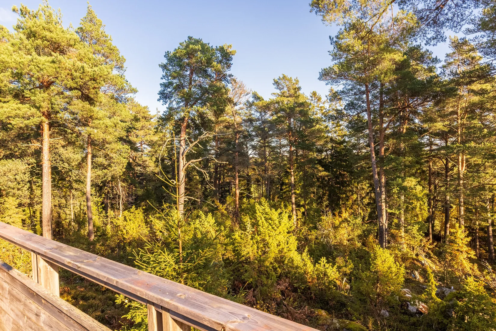 Villa, Pål Pålssons Gata 25, Pilsbo, Sigtuna