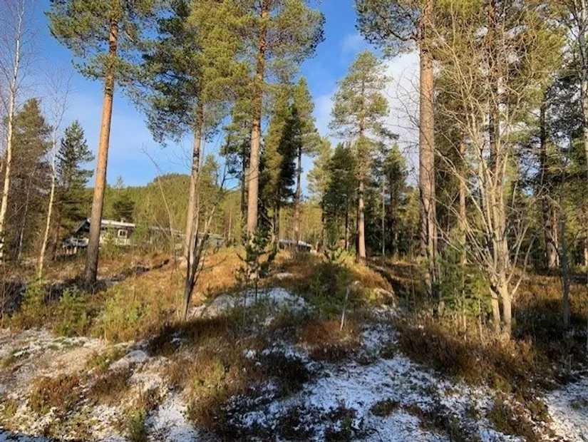 Tomt, Björnrike Ripstigen 6, Björnrike, Härjedalen