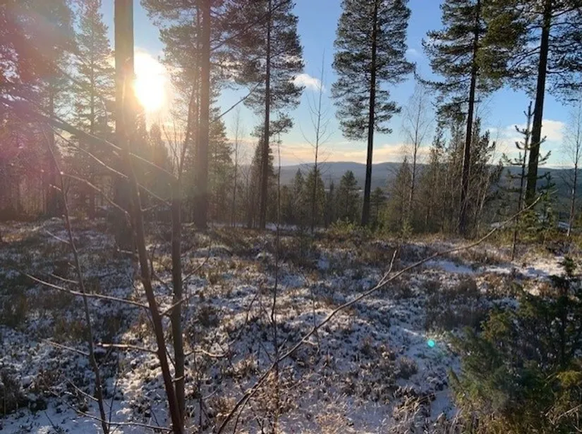 Tomt, Björnrike Ripstigen 6, Björnrike, Härjedalen