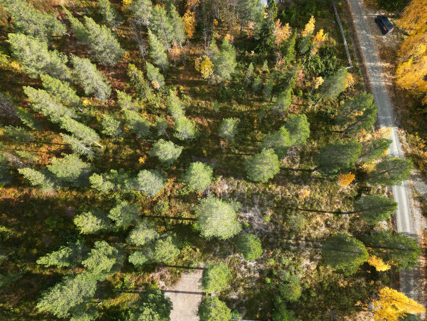 Tomt, Björnrike Ripstigen 6, Björnrike, Härjedalen