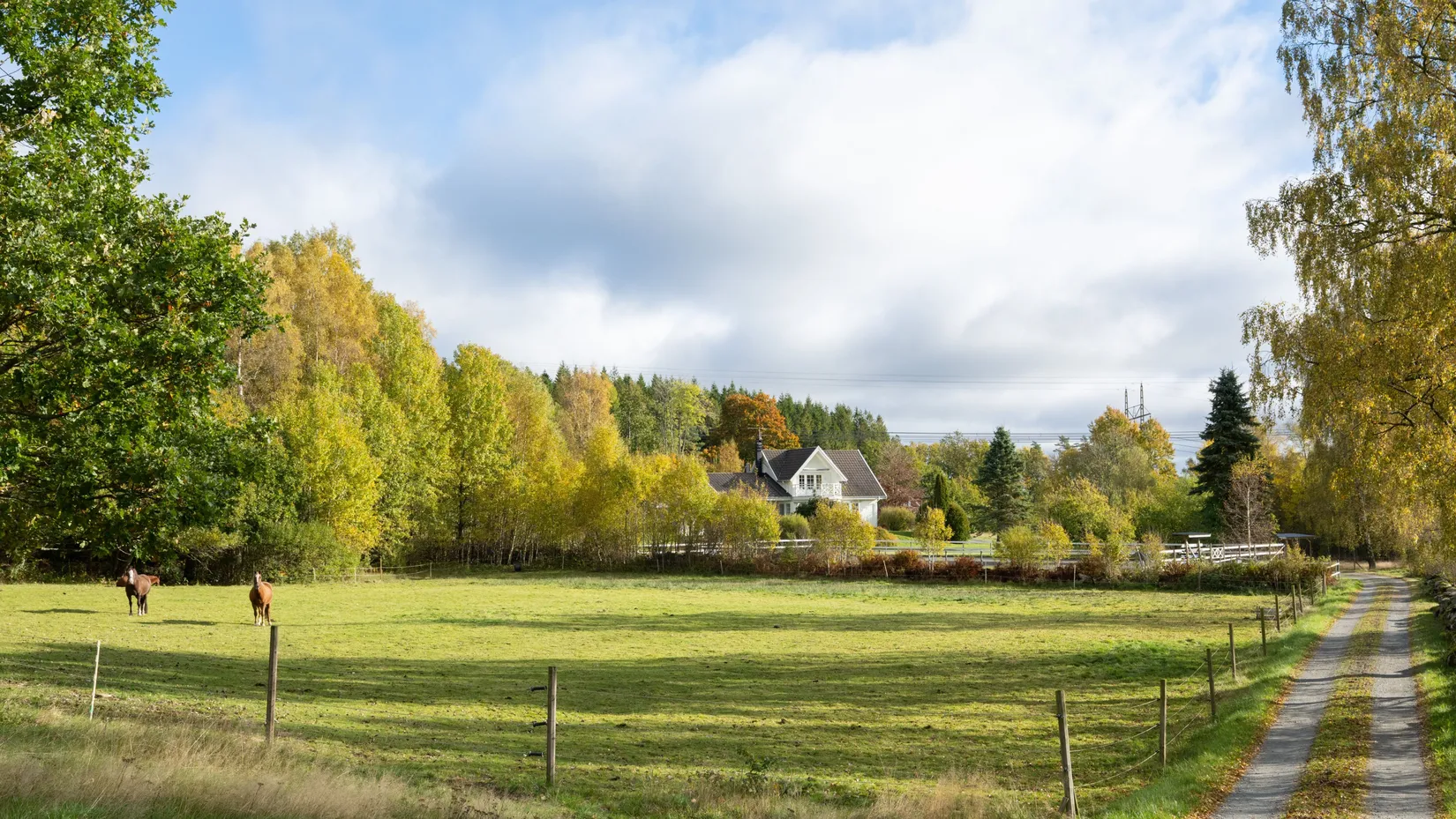 Gård/Skog, Surteby Furudal 1, Björketorp, Mark