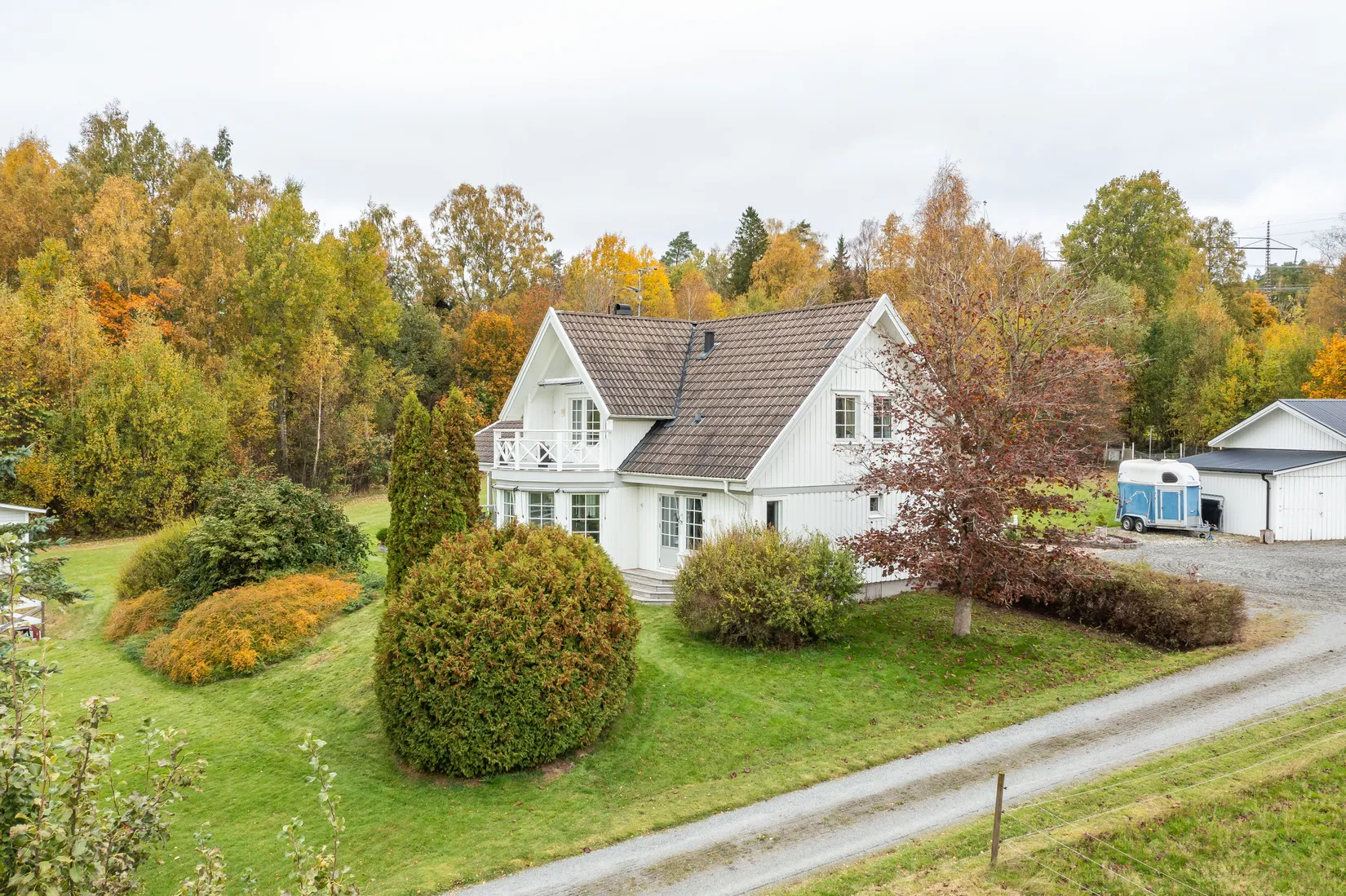 Gård/Skog, Surteby Furudal 1, Björketorp, Mark