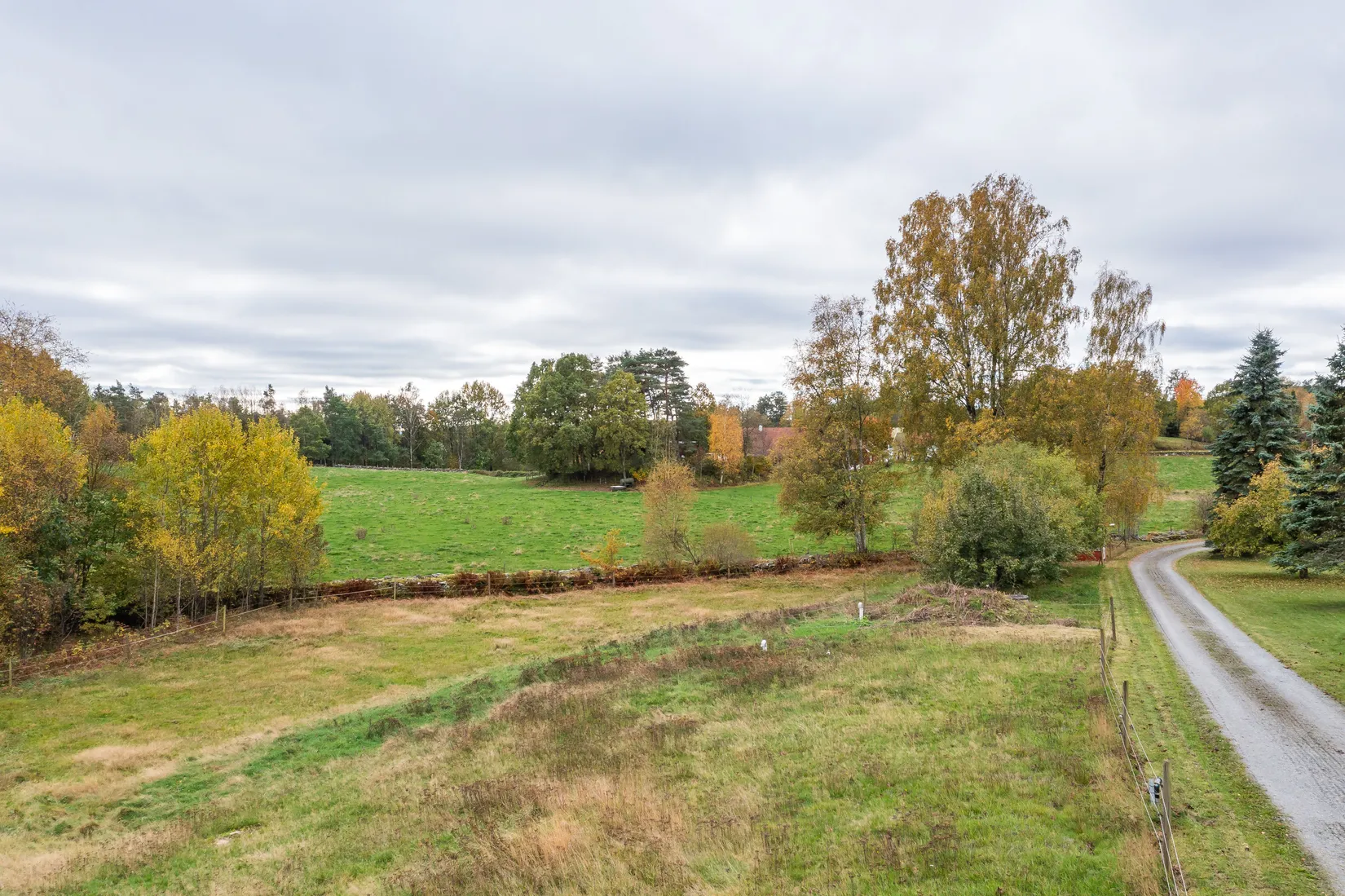 Gård/Skog, Surteby Furudal 1, Björketorp, Mark