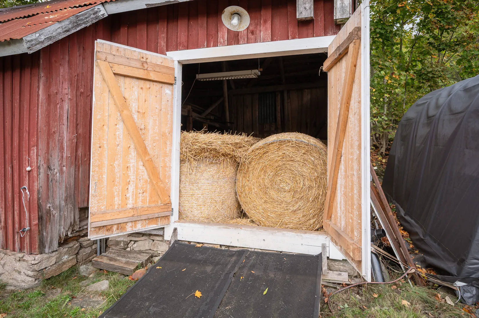 Gård/Skog, Surteby Furudal 1, Björketorp, Mark