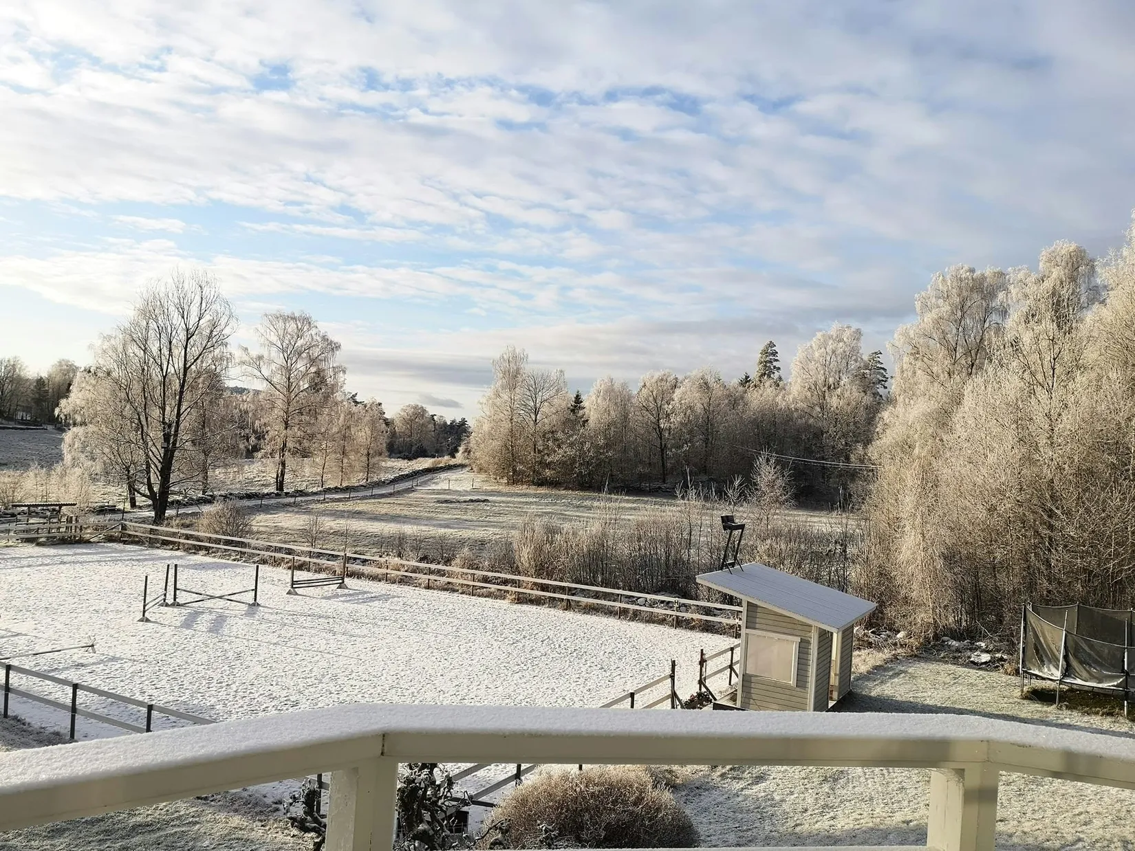 Gård/Skog, Surteby Furudal 1, Björketorp, Mark
