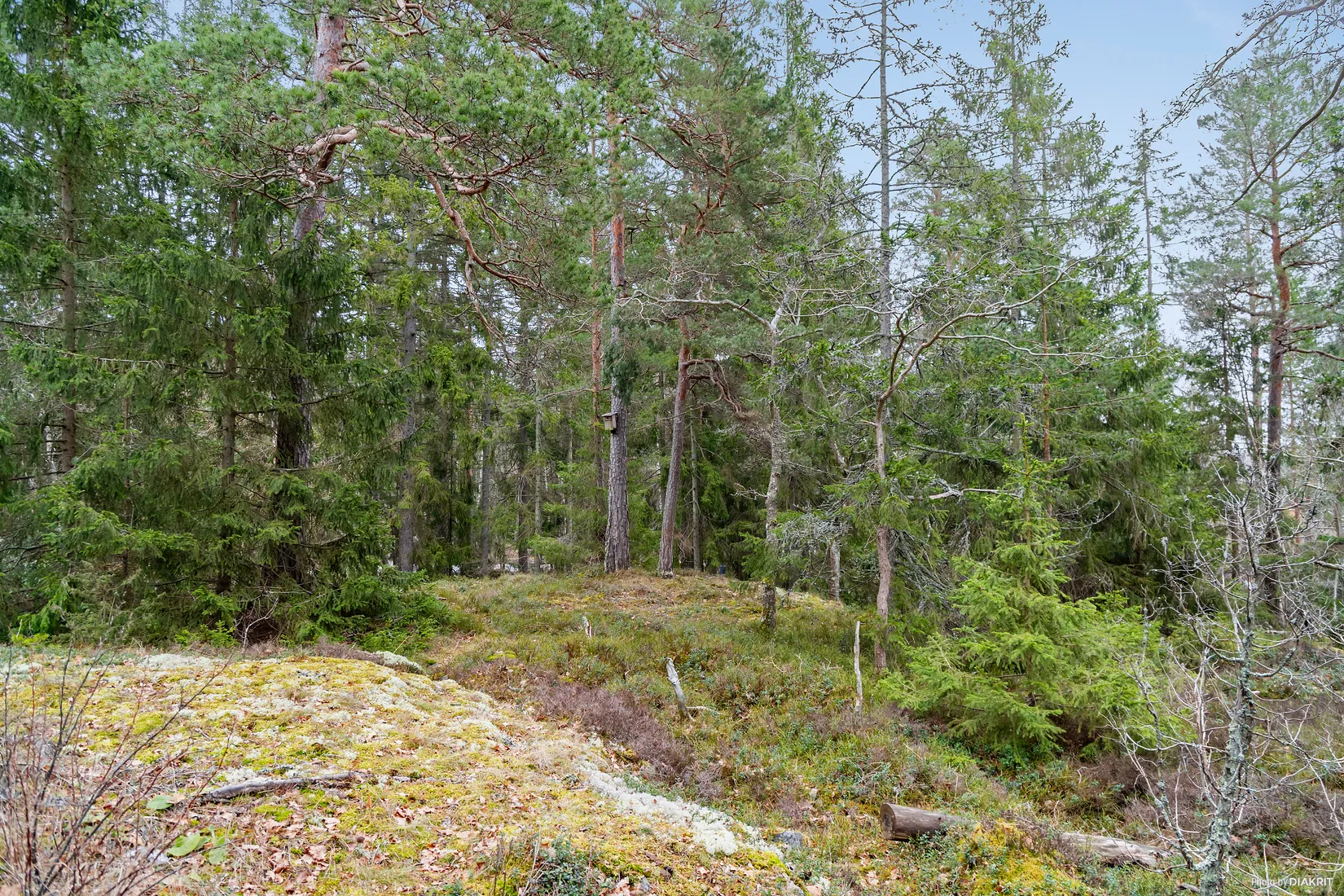 Tomt, Stavsnäsvägen 144, Strömma, Värmdö