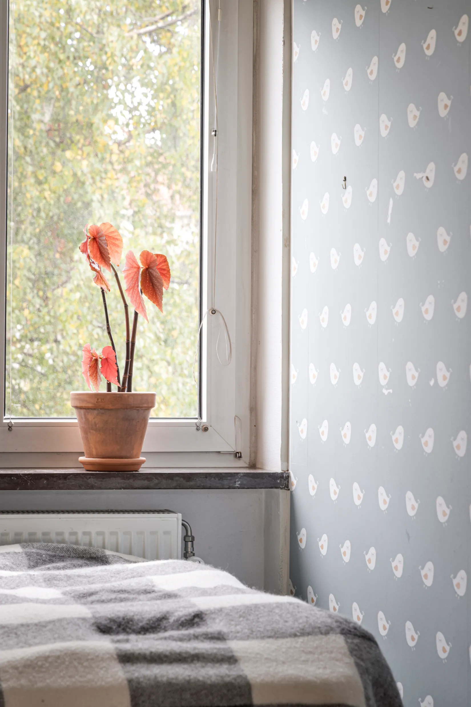 Bostadsrätt, Kiviksgatan 5 B, Östra Sorgenfri, Malmö