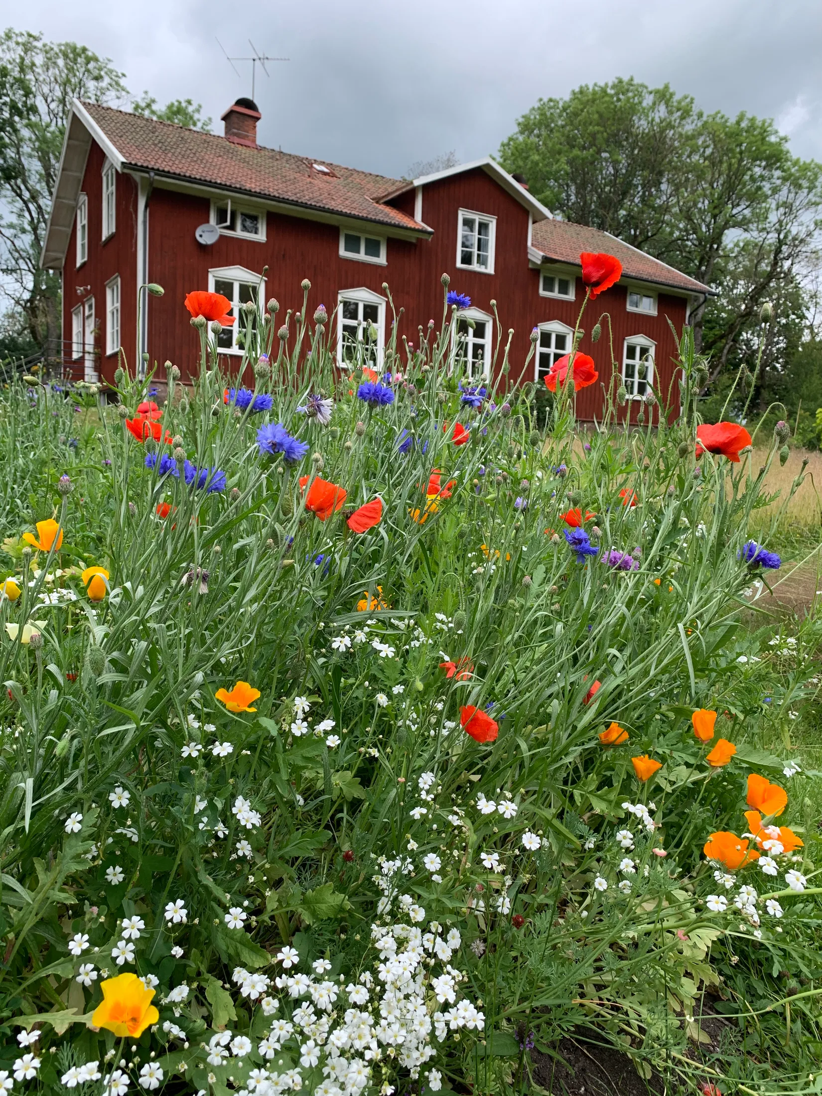 Villa, Järpås Prästgården 1, Järpås Backa, Lidköping