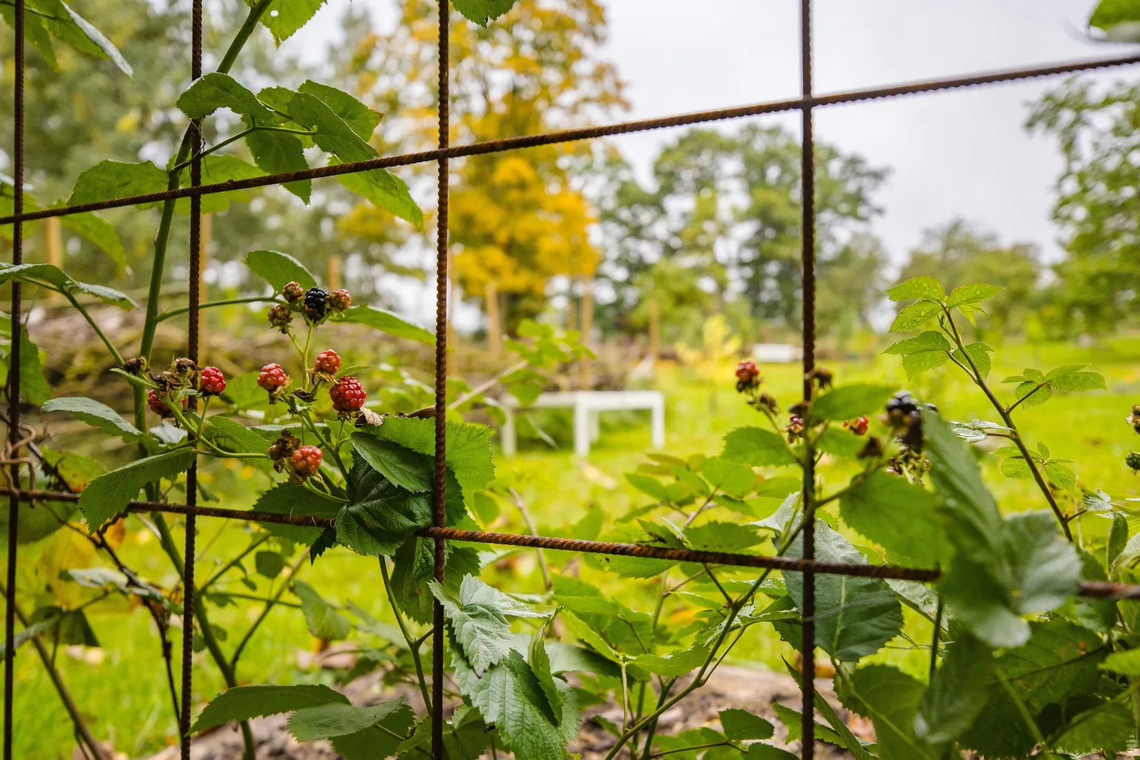 Villa, Järpås Prästgården 1, Järpås Backa, Lidköping