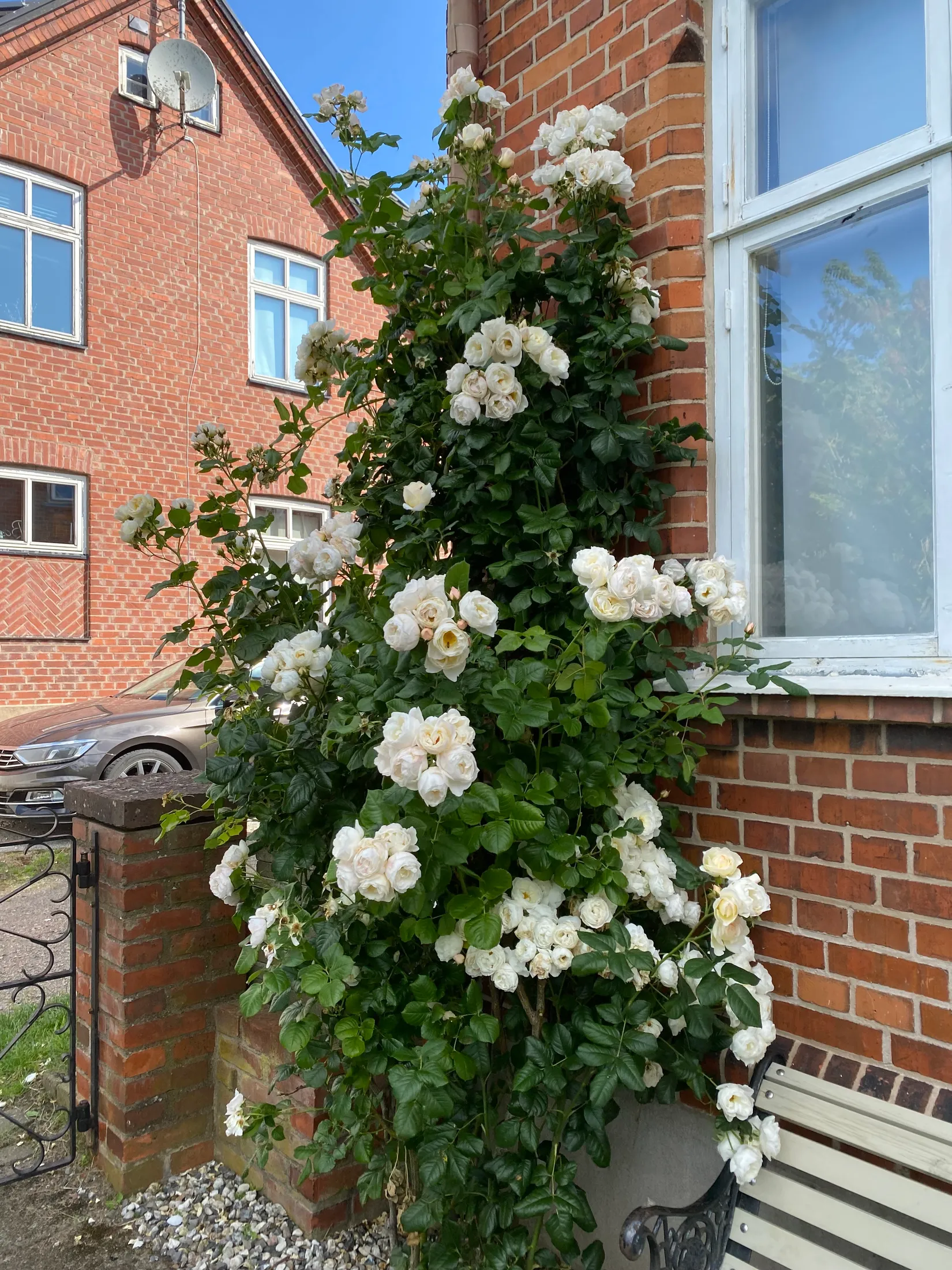 Villa, Södergatan 6, Centralt, Kävlinge
