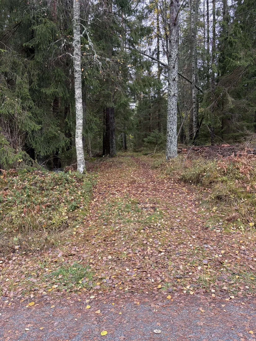 Fritidshus, Sättraslingan 11, Riala-Sättra, Norrtälje