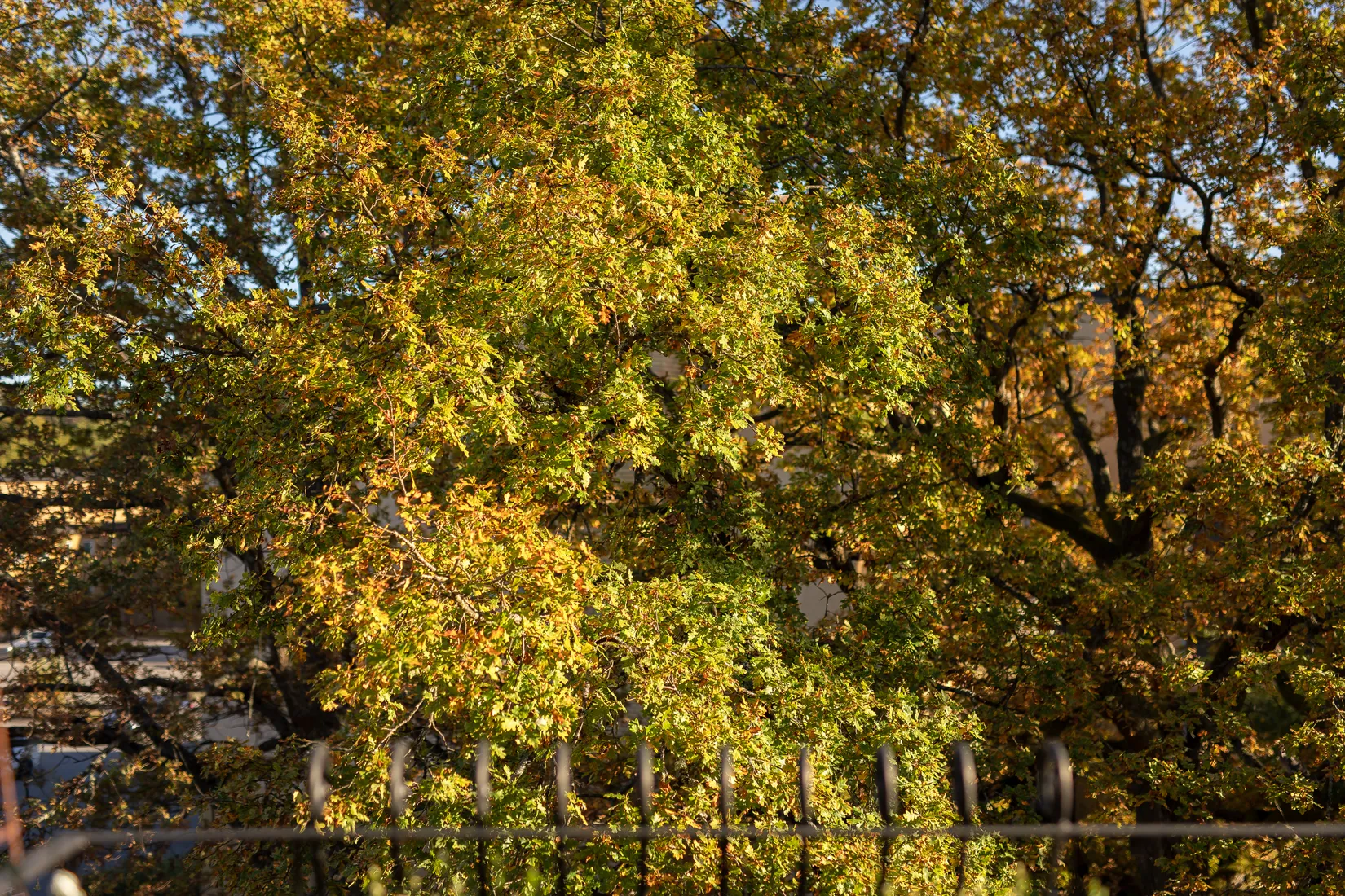 Bostadsrätt, Skridskovägen 14, Västertorp, Stockholm
