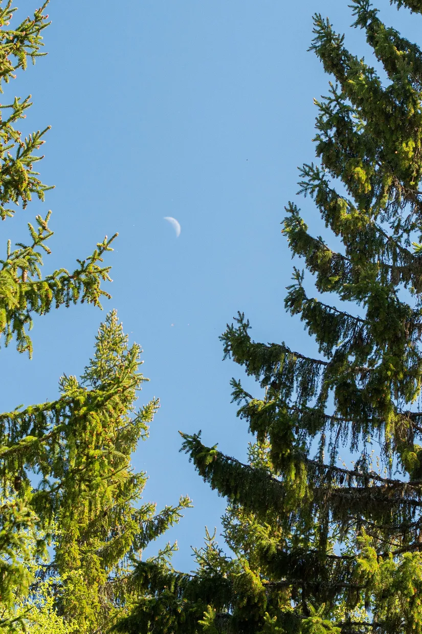 Gård/Skog, Sollefteå Hocksjön 2:33, Sollefteå