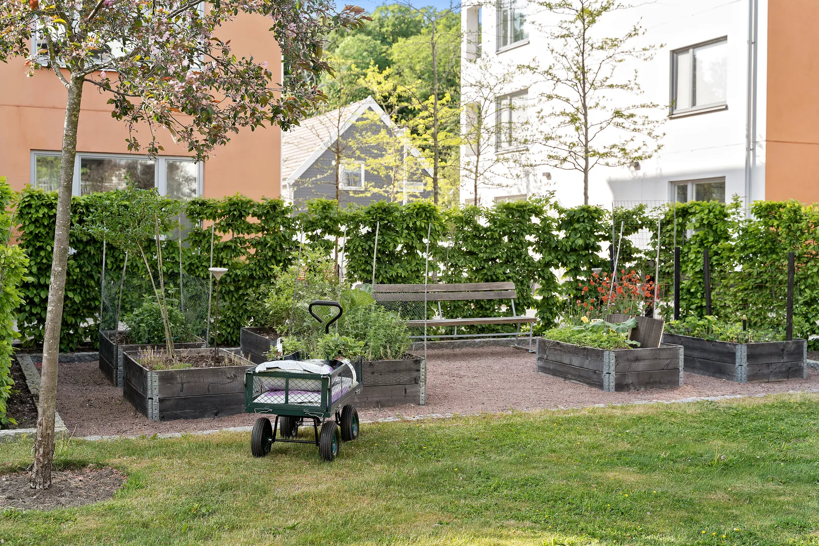 Bostadsrätt, Mor Johannas Väg 11A, Björkris, Kungsbacka
