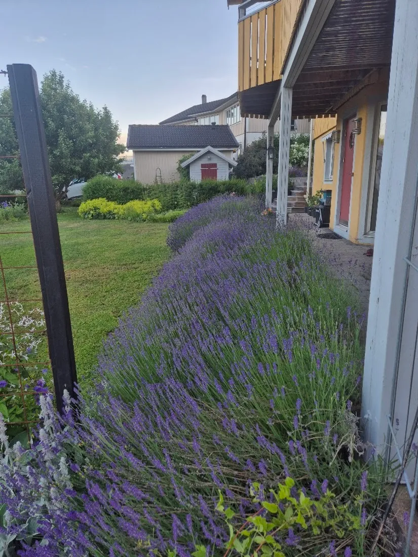 Villa, Solviks strand 10, Fållan, Huddinge