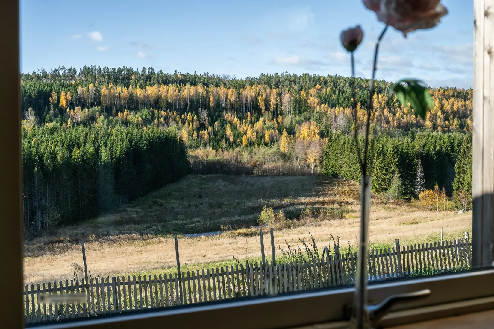 Gård/Skog, Vålånger 528, Vålånger, Härnösand