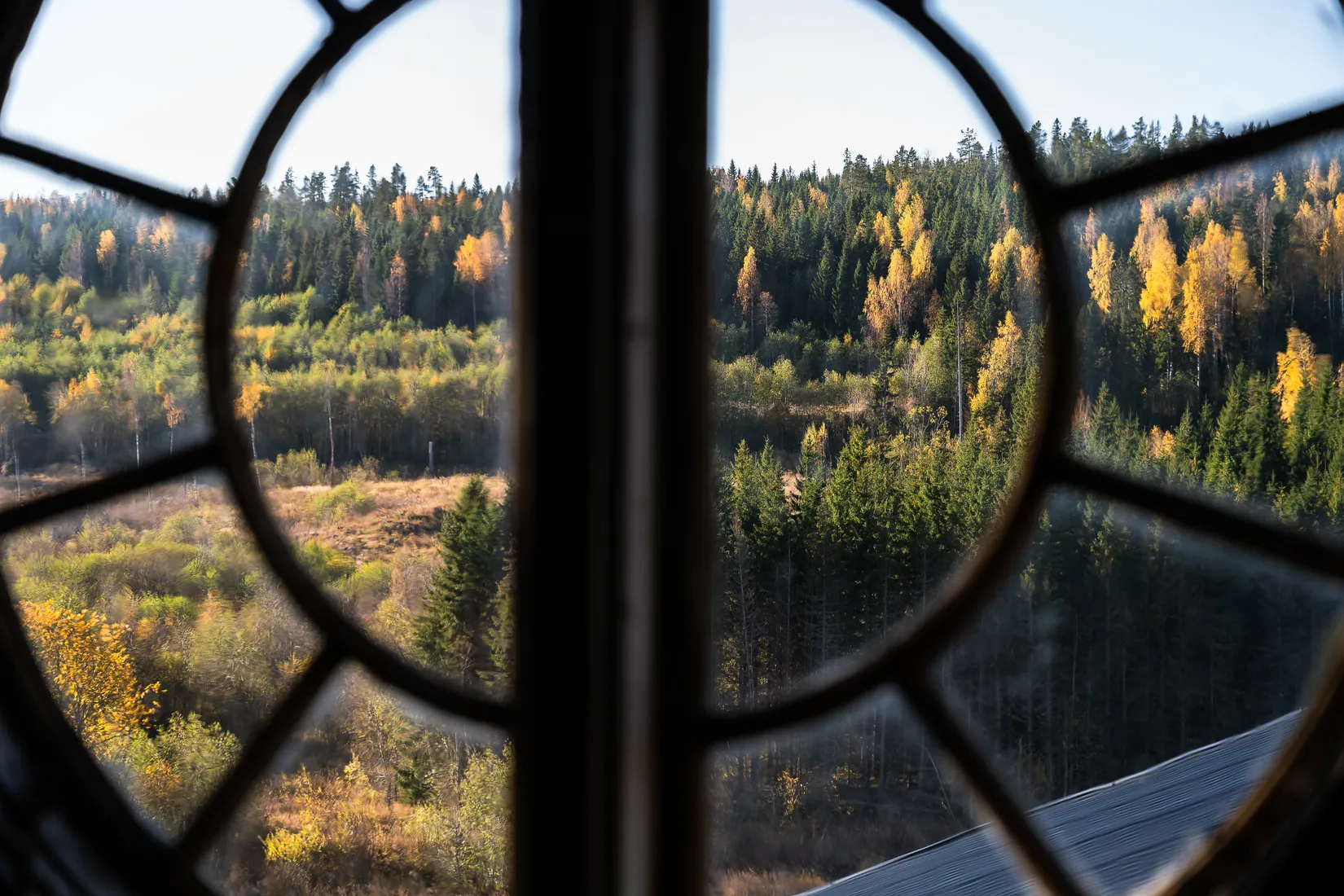 Gård/Skog, Vålånger 528, Vålånger, Härnösand