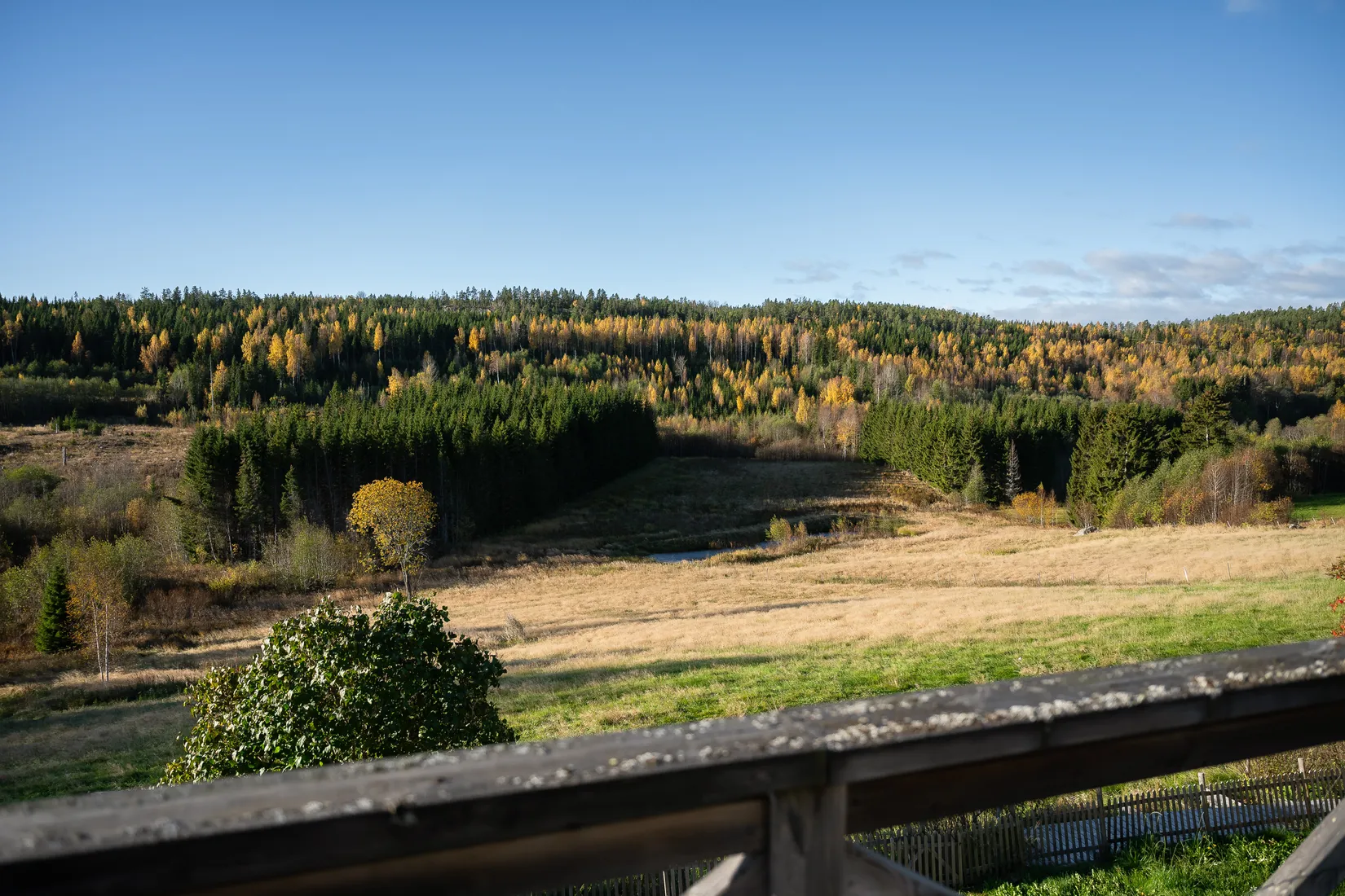 Gård/Skog, Vålånger 528, Vålånger, Härnösand