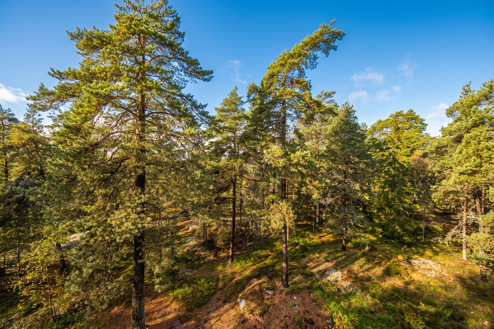 Bostadsrätt, Trombonstigen 13, 3tr, Brunna - Kungsängen, Upplands-Bro