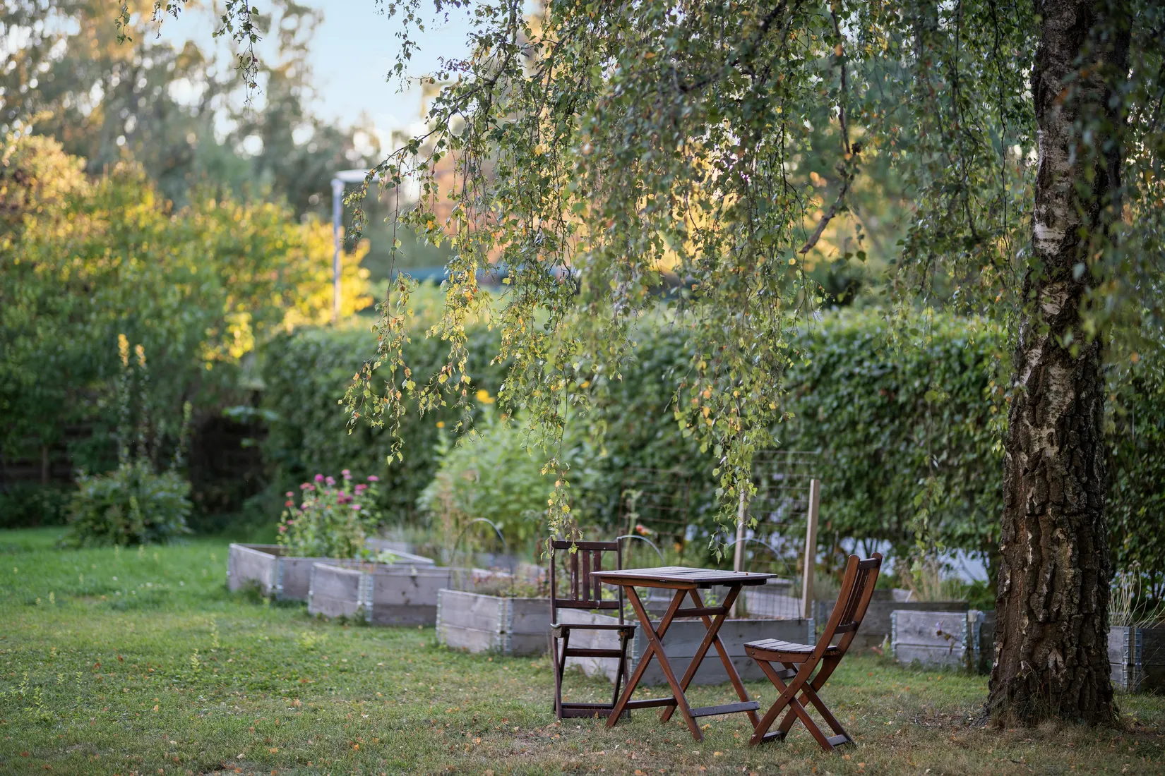 Bostadsrätt, Alriksgatan 6B, Höganäs, Uppsala