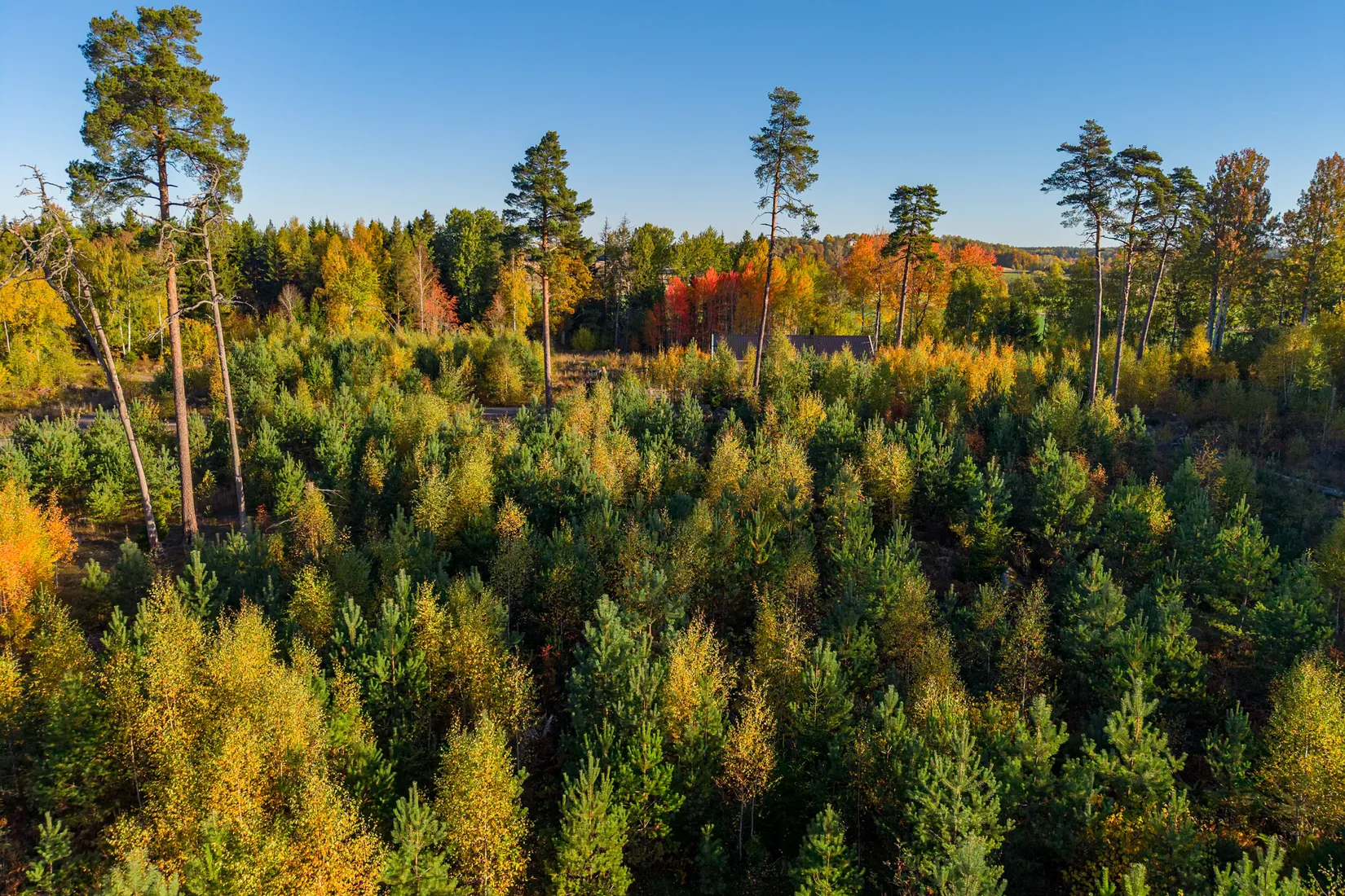 Tomt, Lena-Ekeby 40, Vattholma, Uppsala
