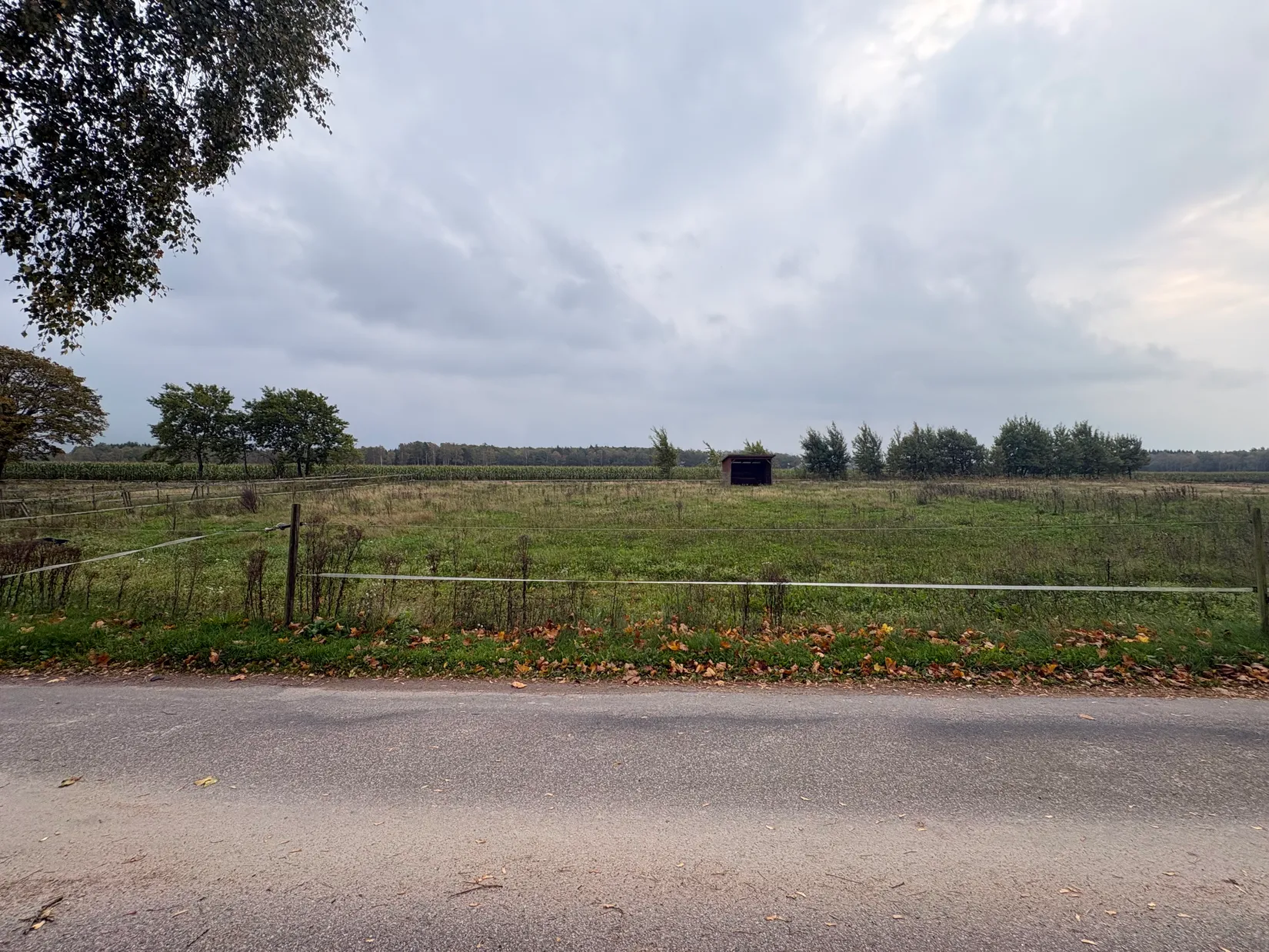 Gård/Skog, Tönnersjö Dalshäll 754, Tönnersjö, Halmstad