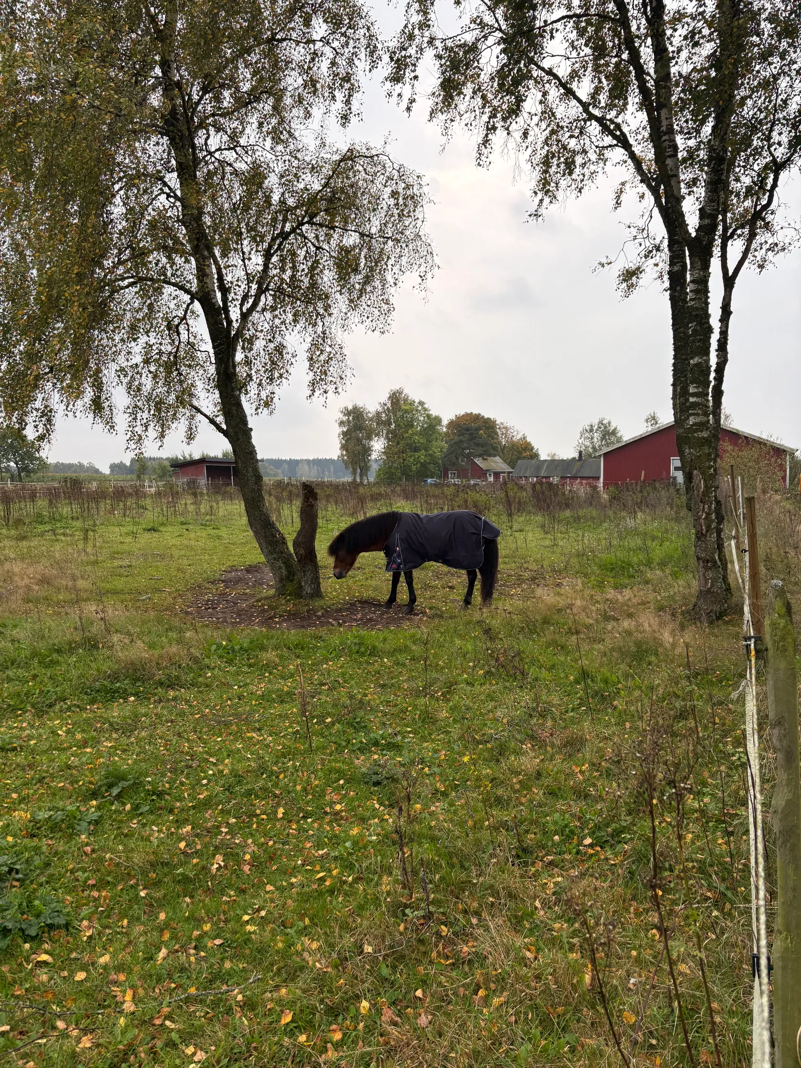 Gård/Skog, Tönnersjö Dalshäll 754, Tönnersjö, Halmstad