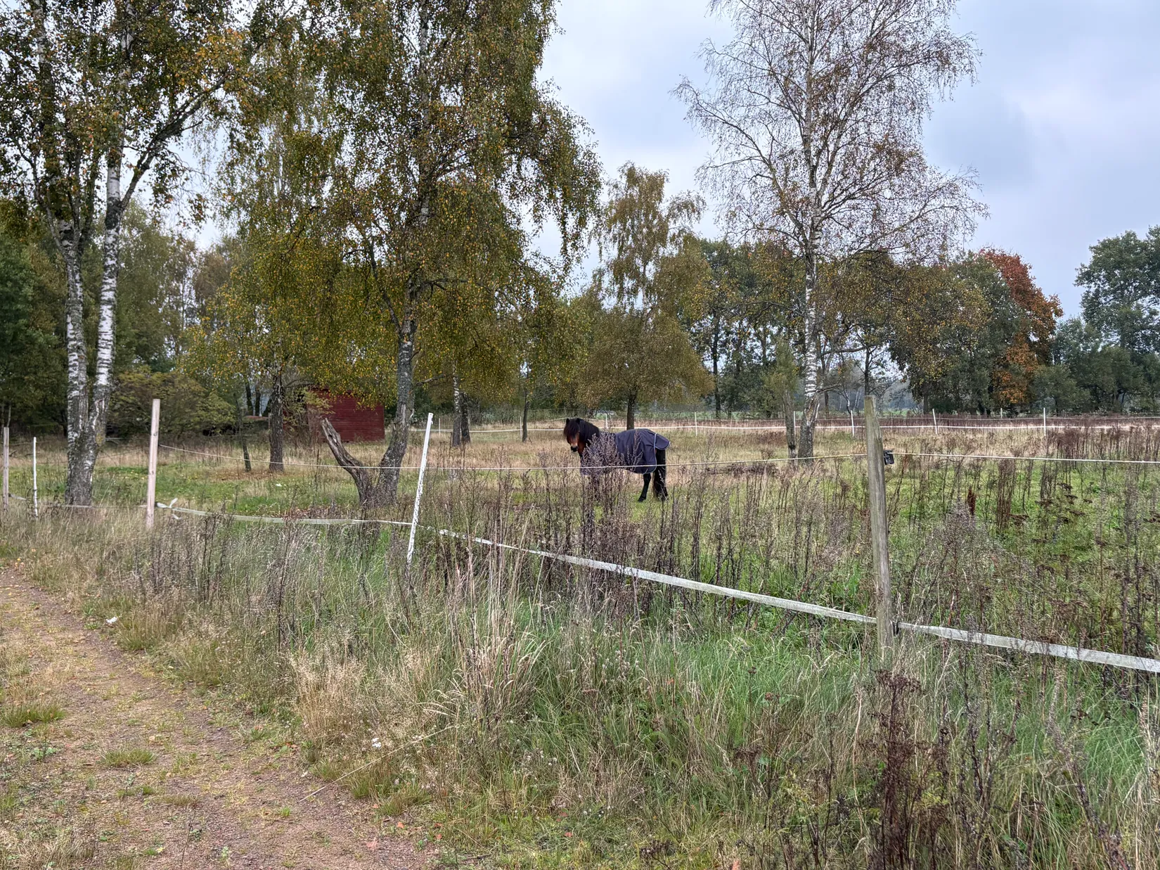 Gård/Skog, Tönnersjö Dalshäll 754, Tönnersjö, Halmstad