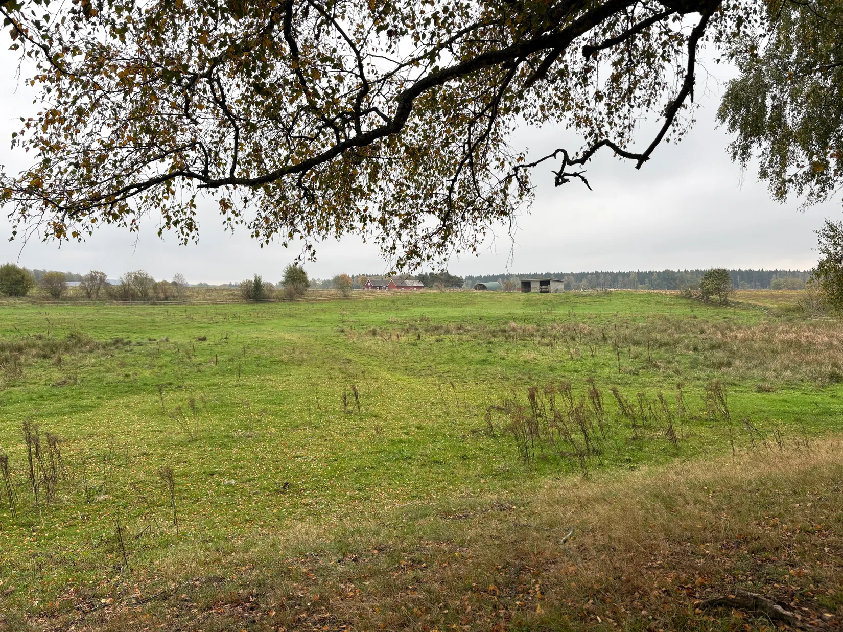 Gård/Skog, Tönnersjö Dalshäll 754, Tönnersjö, Halmstad