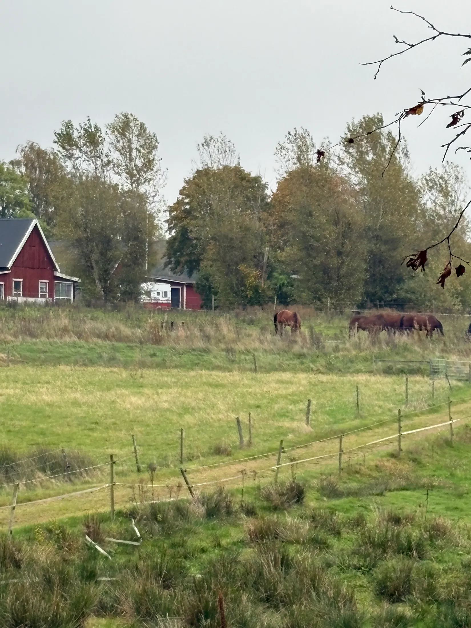 Gård/Skog, Tönnersjö Dalshäll 754, Tönnersjö, Halmstad