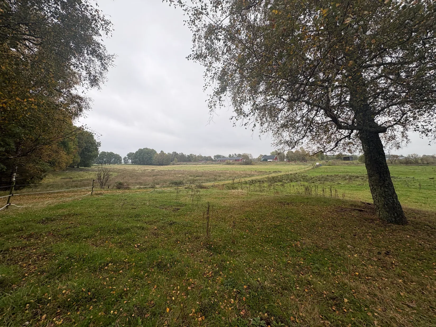 Gård/Skog, Tönnersjö Dalshäll 754, Tönnersjö, Halmstad