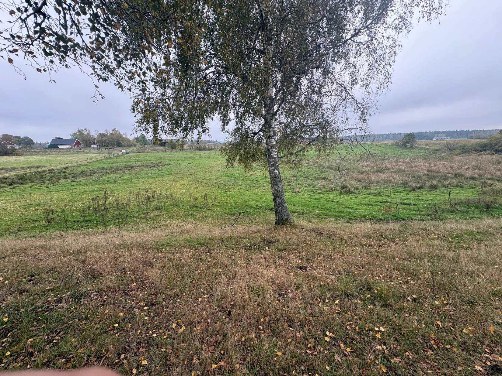 Gård/Skog, Tönnersjö Dalshäll 754, Tönnersjö, Halmstad