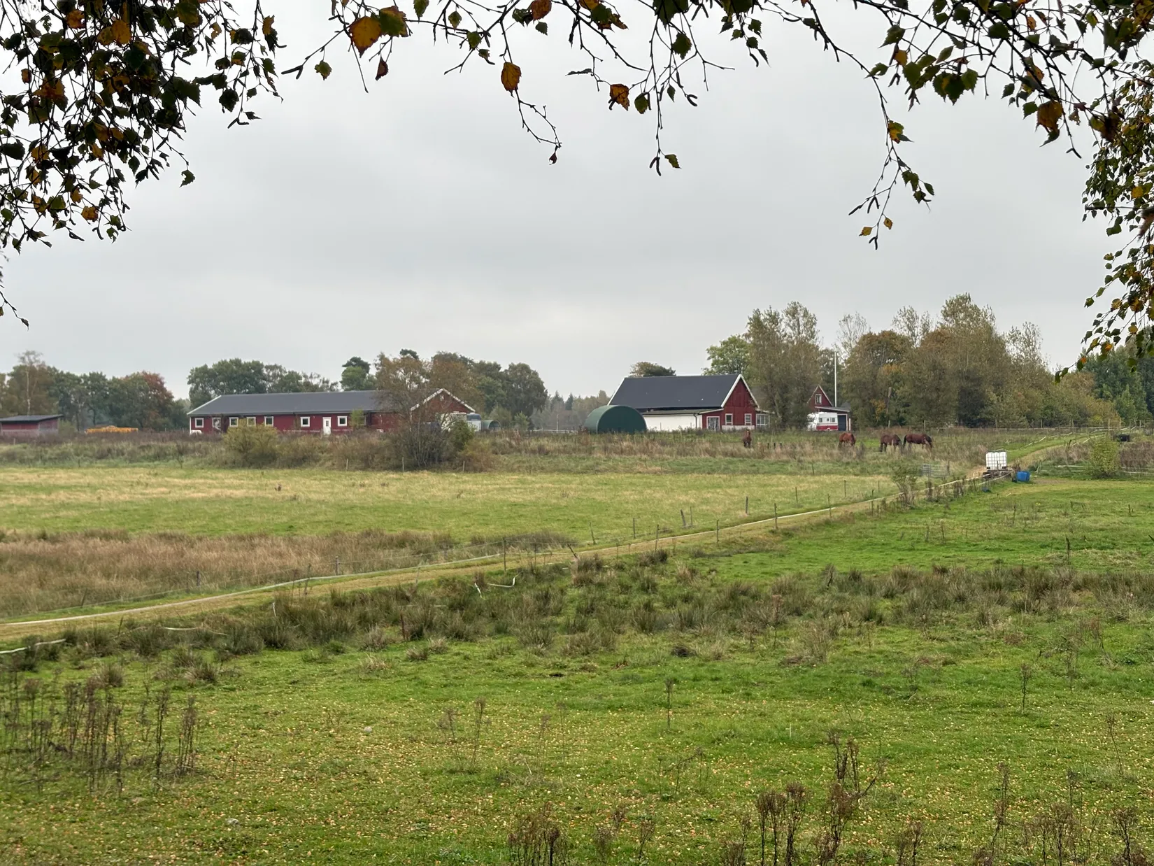 Gård/Skog, Tönnersjö Dalshäll 754, Tönnersjö, Halmstad
