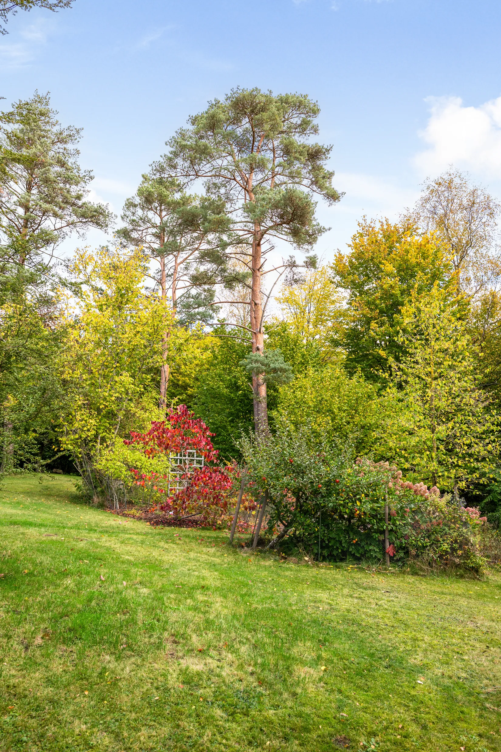 Fritidshus, Lärkvägen 33, Lönhult, Tomelilla