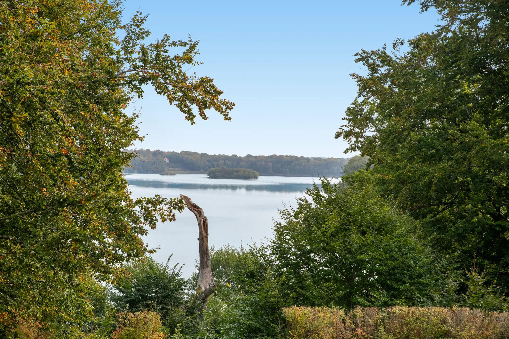 Gård/Skog, Snogeholms Slott, Snogeholmssjön, Sjöbo