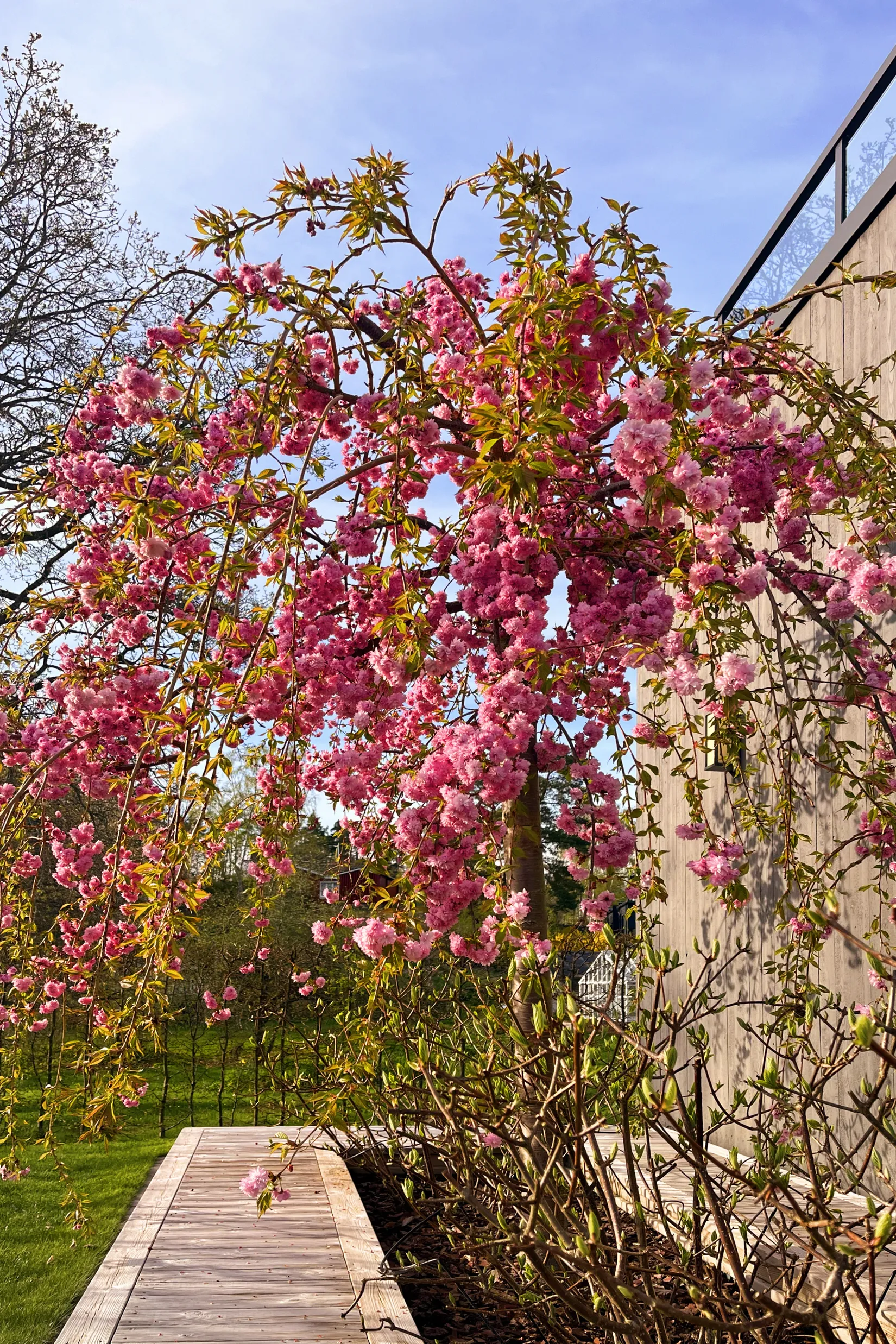 Villa, Hultavägen 41, Åsa, Kungsbacka