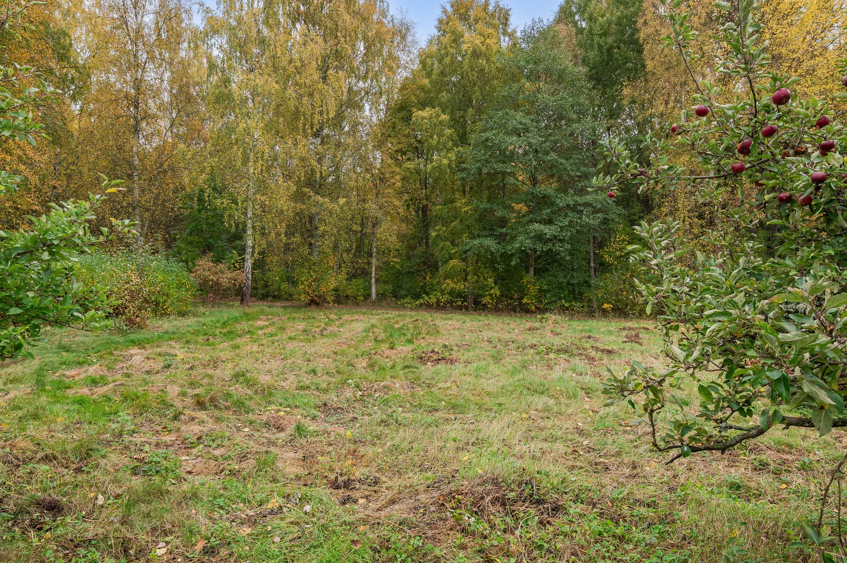 Radhus, Falkgatan 32, Borensberg, Motala