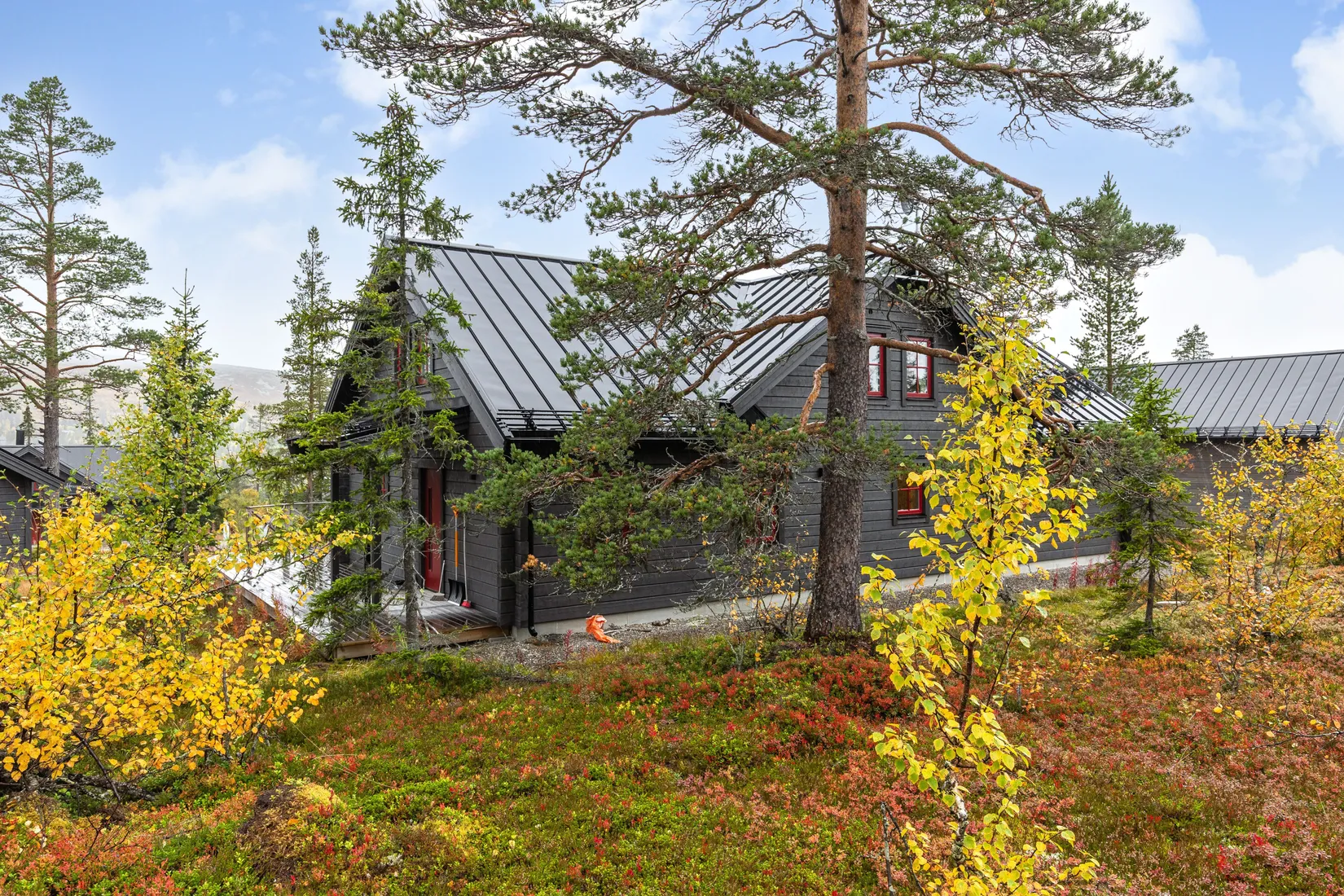 Villa, Propusvägen 11, Berg