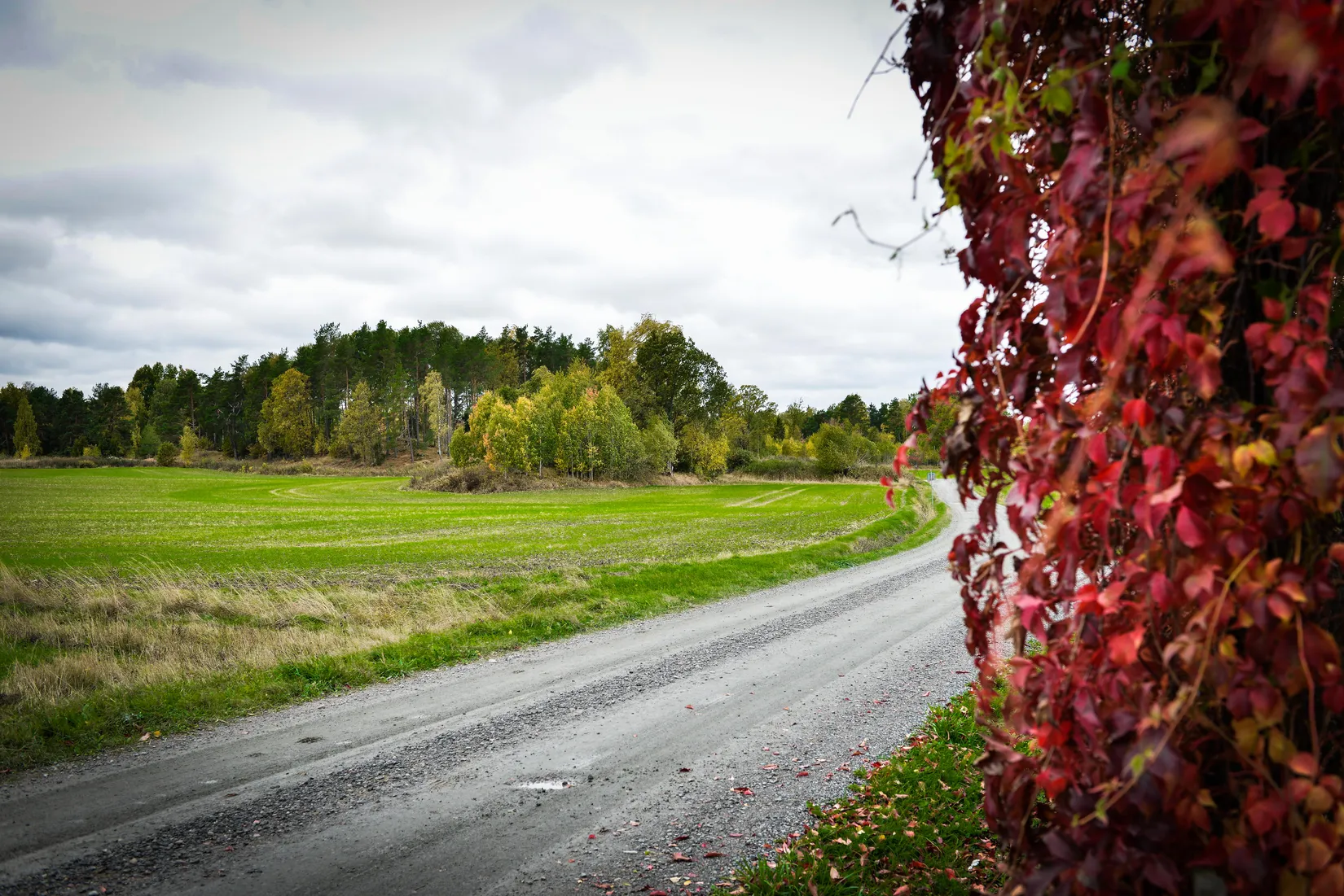 Villa, Tumbo Sofieborg, Kvicksund, Eskilstuna