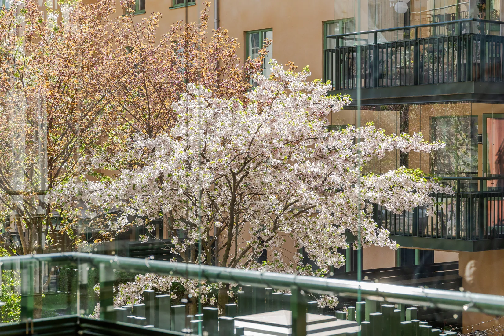 Bostadsrätt, Thorells gata 7, Vasastaden, Linköping